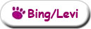 Bing/Levi